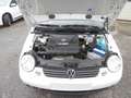 Volkswagen Lupo Lupo 1.4 Blanco - thumbnail 17