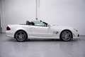 Mercedes-Benz SL 63 AMG Distronic Harman Kardon Bi-Xenon Stoelverwarming/v Wit - thumbnail 11