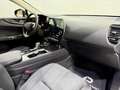 Lexus NX 350h Business City 2WD Negro - thumbnail 41