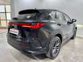 Lexus NX 350h Business City 2WD Negro - thumbnail 36