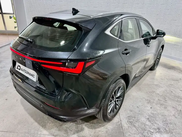 Lexus NX 2023, foto 40