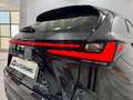 Lexus NX 350h Business City 2WD Negro - thumbnail 39
