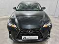 Lexus NX 350h Business City 2WD Negro - thumbnail 7