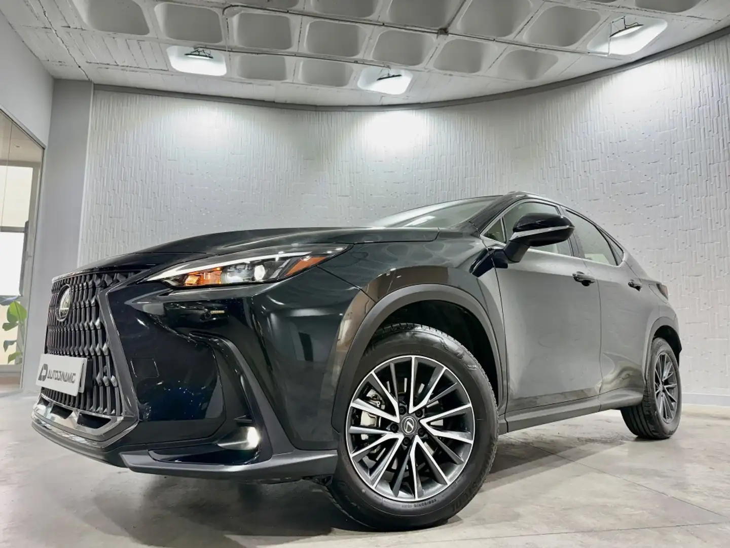 Lexus NX 350h Business City 2WD Negro - 1