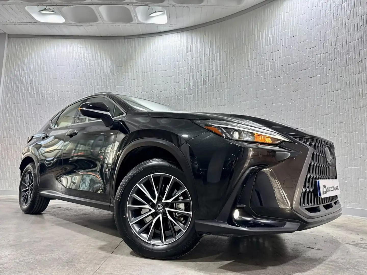 Lexus NX 350h Business City 2WD Negro - 2