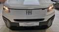 Fiat Doblo Kastenwagen BlueHDi 100 S&S M Blanc - thumbnail 15