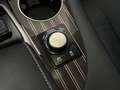 Lexus RX 450h 450H 4WD President LINE Mark Levinson 360 Camera S Grau - thumbnail 42