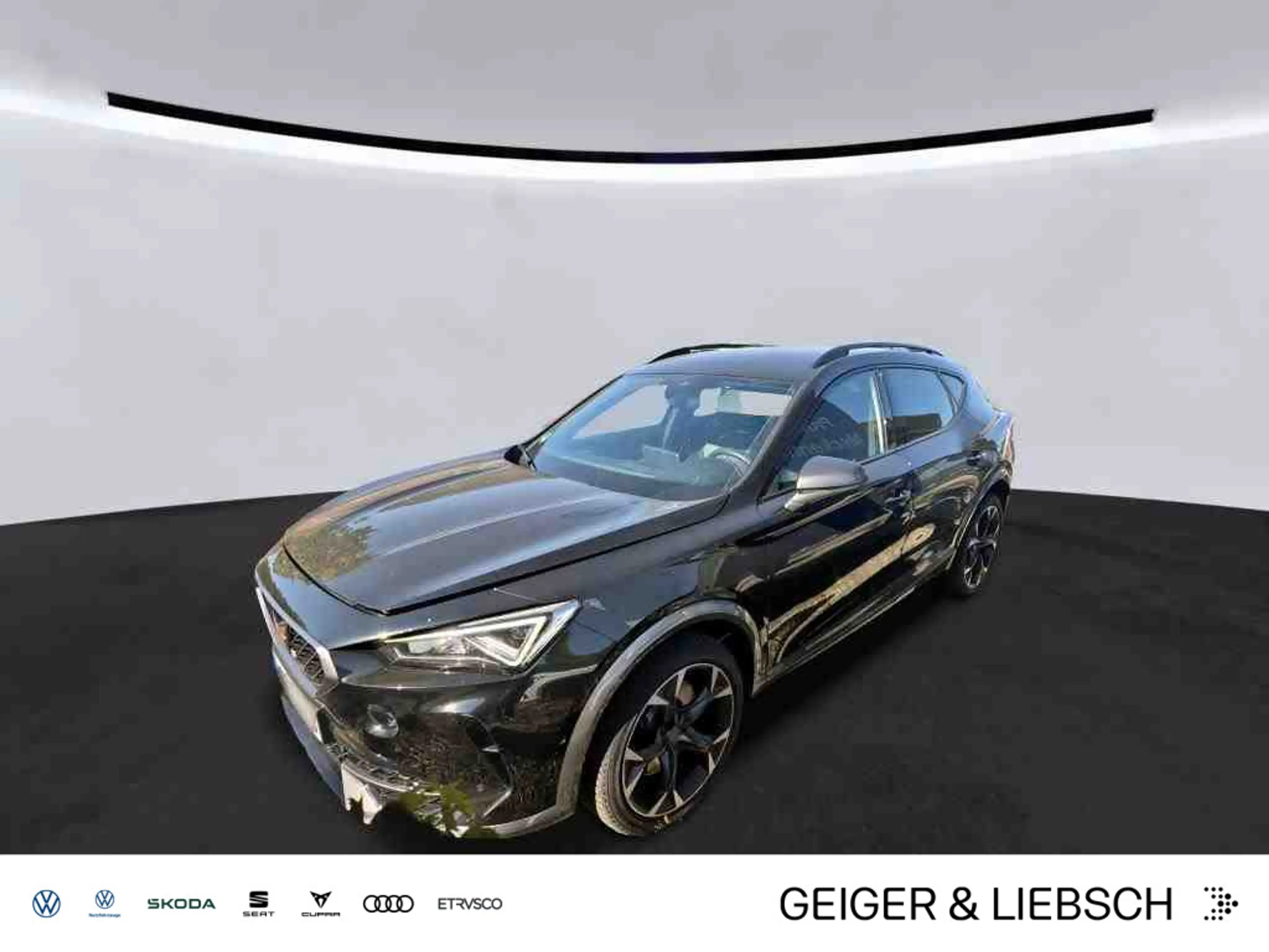 CUPRA Formentor 2.0 TSI 4DRIVE DSG VZ*NAVI*LEDER*LED*1