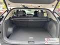 Kia EV3 81.4 EARTH Winter Business Upgrade DriveWise Sound Weiß - thumbnail 7