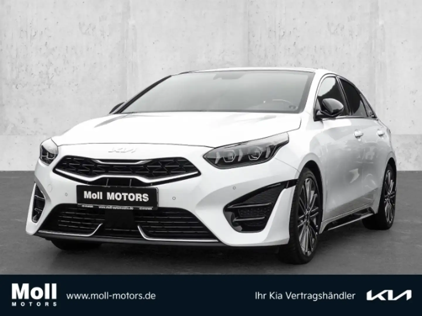 Kia ProCeed / pro_cee'd GT-Line El. Panodach Navi Leder Digitales Cockpit Weiß - 1