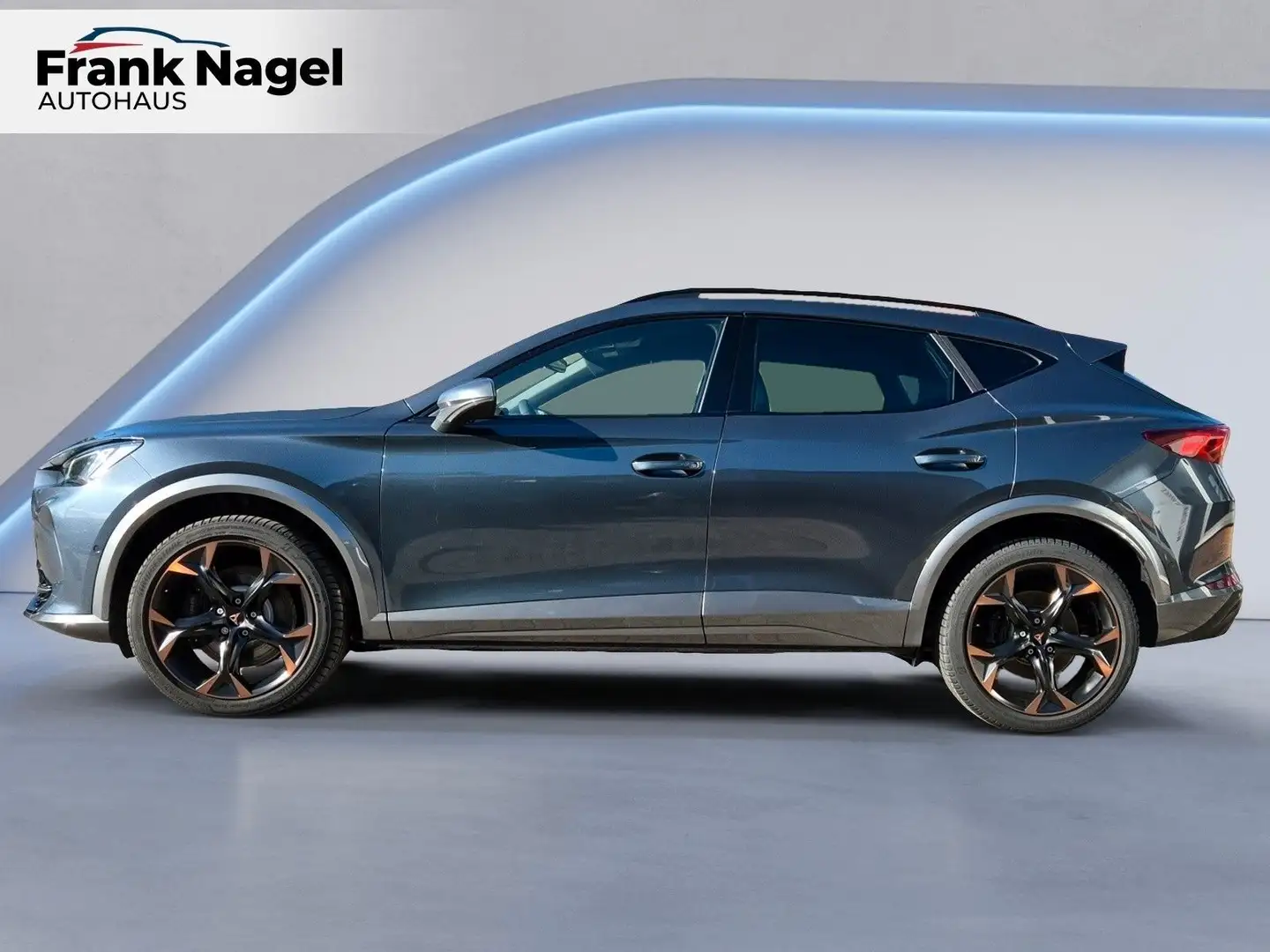 CUPRA Formentor VZ 2.0 TSI 7-Gang-DSG Grau - 2