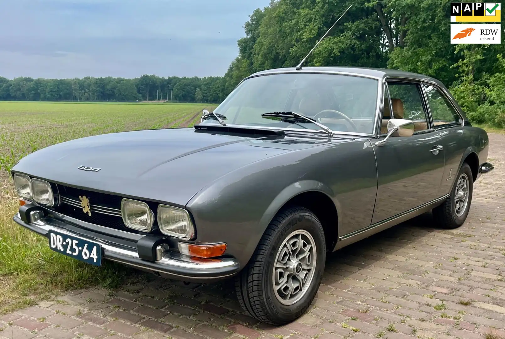 Peugeot 504 2.0 Coupé Inj. Šedá - 1