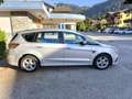 Ford S-Max 2.0 EcoBlue Aut. TITANIUM Grau - thumbnail 5