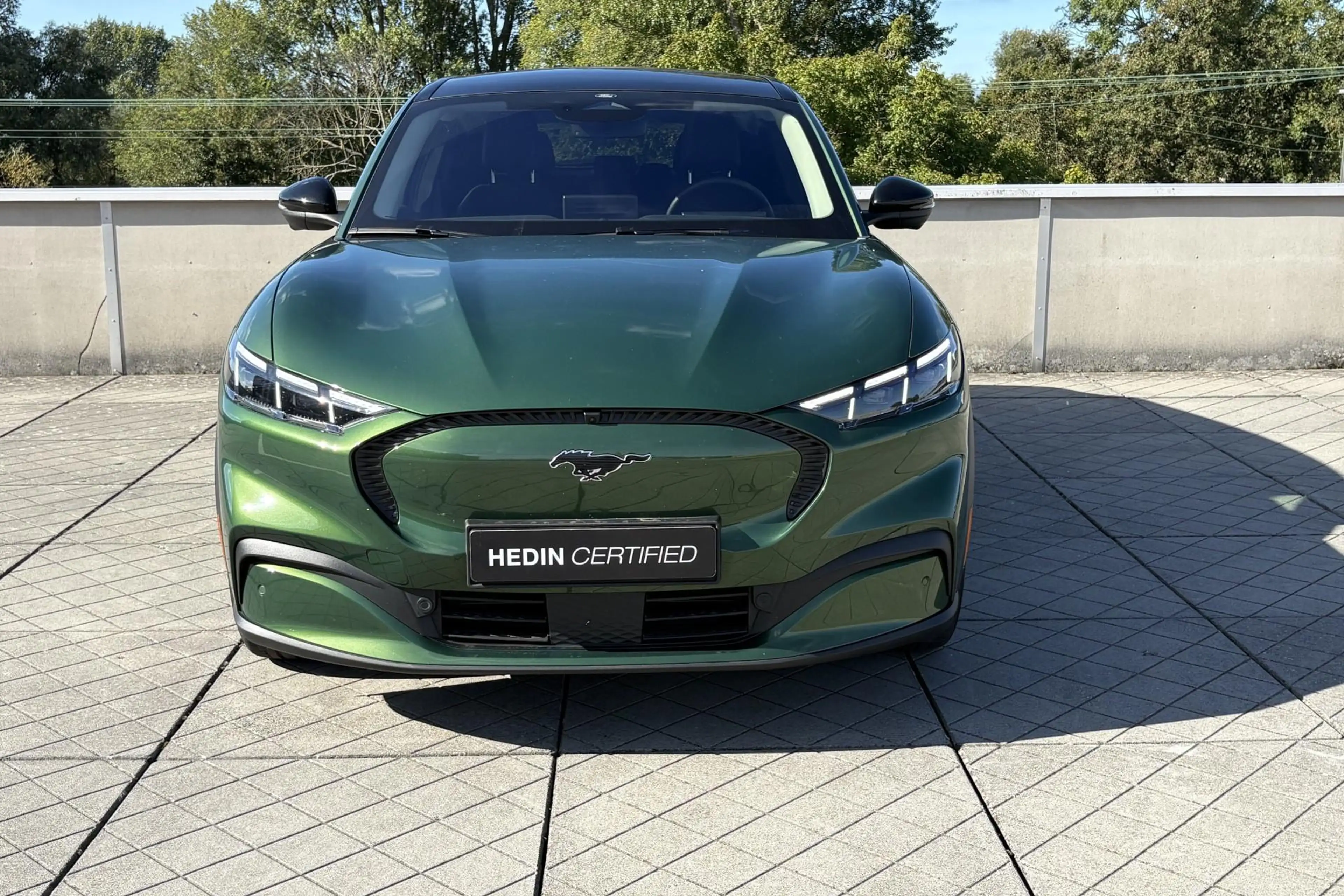 Ford Mustang Mach-E Standard RWD 73 kWh | Technology Pack+ | Panoramad — photo 6