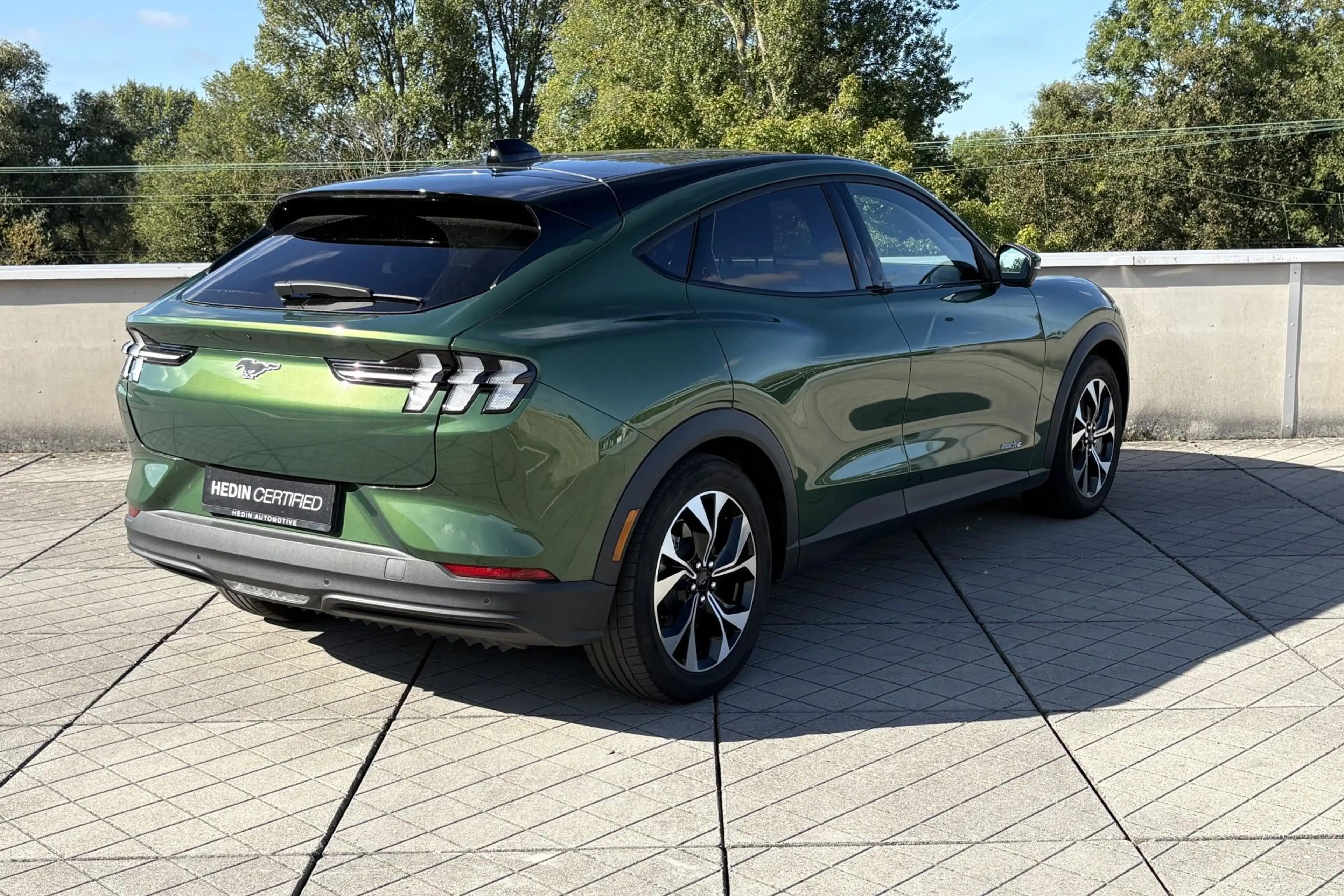 Ford Mustang Mach-E Standard RWD 73 kWh | Technology Pack+ | Panoramad — photo 2
