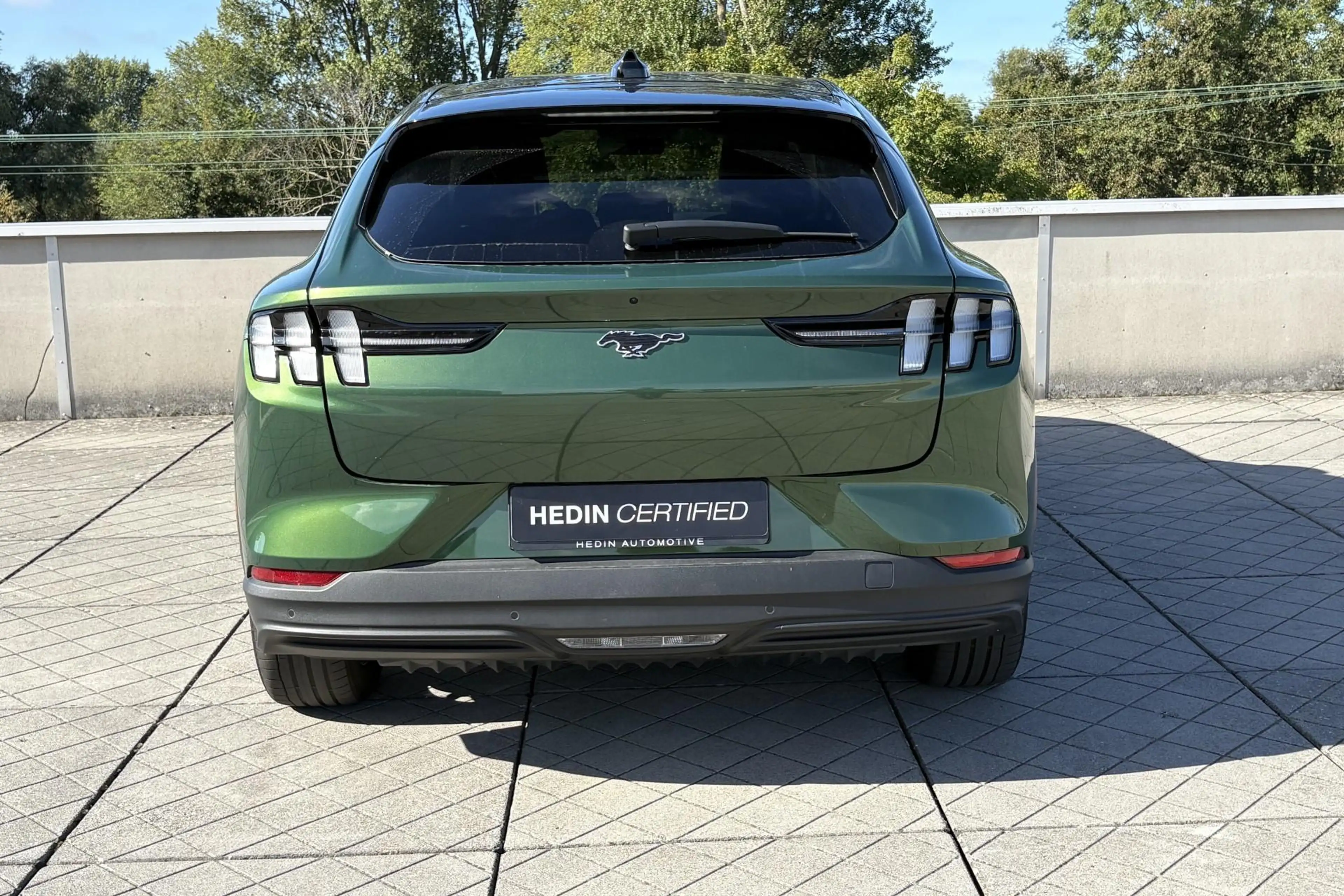 Ford Mustang Mach-E Standard RWD 73 kWh | Technology Pack+ | Panoramad — photo 8