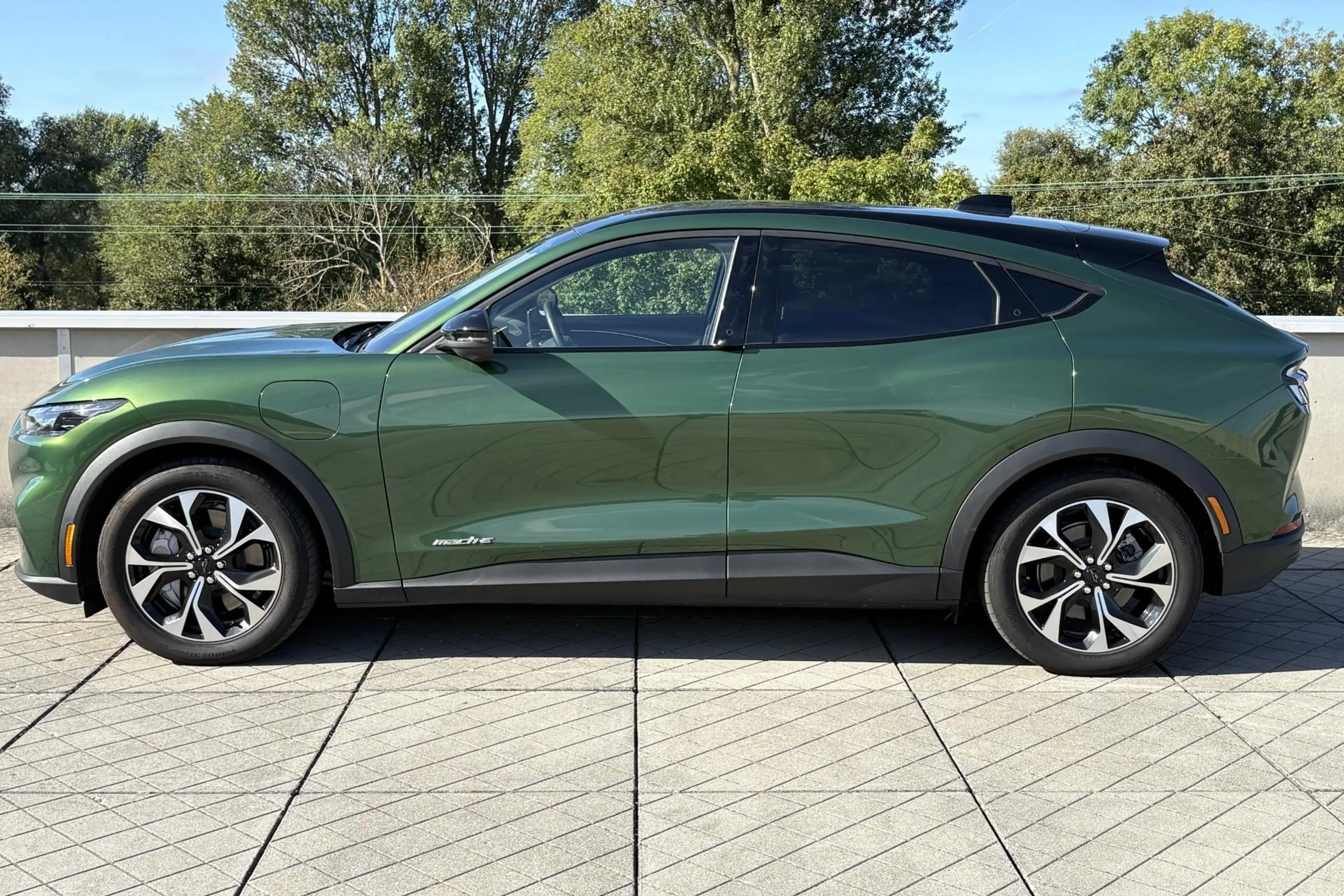 Ford Mustang Mach-E Standard RWD 73 kWh | Technology Pack+ | Panoramad — photo 7