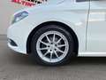 Mercedes-Benz B 180 CDI*KLIMAAUT*NAVI*PDC*SHZ*EURO6*6-GANG* Weiß - thumbnail 20
