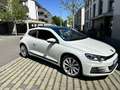 Volkswagen Scirocco Basis BMT/Start-Stopp Weiß - thumbnail 2