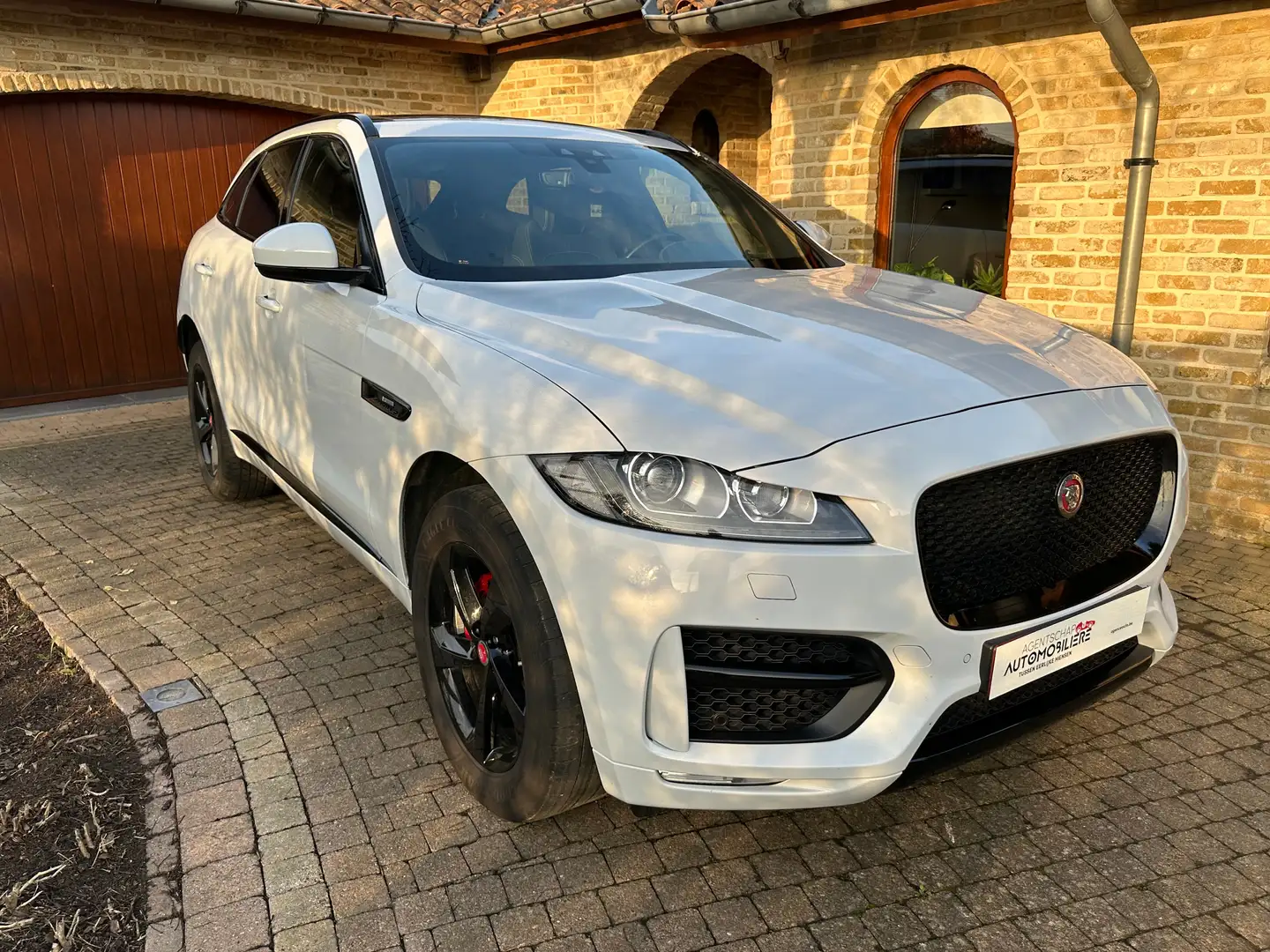 Jaguar F-Pace 2.0 T AWD R-Sport Met 1 jaar Garantie ( 5 jaar ) Weiß - 1