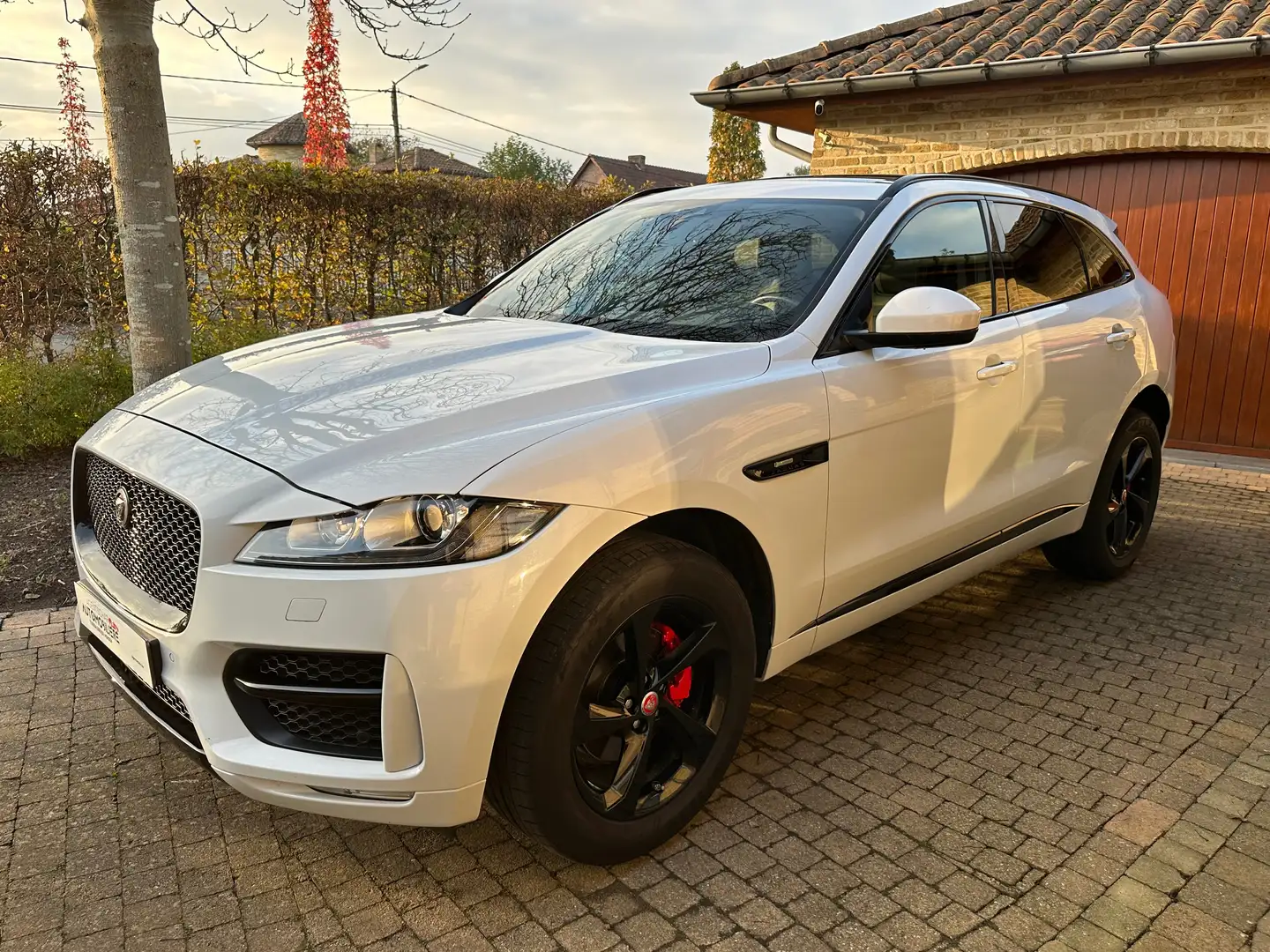 Jaguar F-Pace 2.0 T AWD R-Sport Met 1 jaar Garantie ( 5 jaar ) Weiß - 2