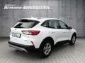 Ford Kuga C&C 2.5 Ltr. 224 PS *CARPLAY*NAVI* Wit - thumbnail 5