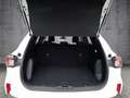 Ford Kuga C&C 2.5 Ltr. 224 PS *CARPLAY*NAVI* Wit - thumbnail 14