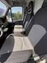 Iveco Daily 35S15 Bianco - thumbnail 9