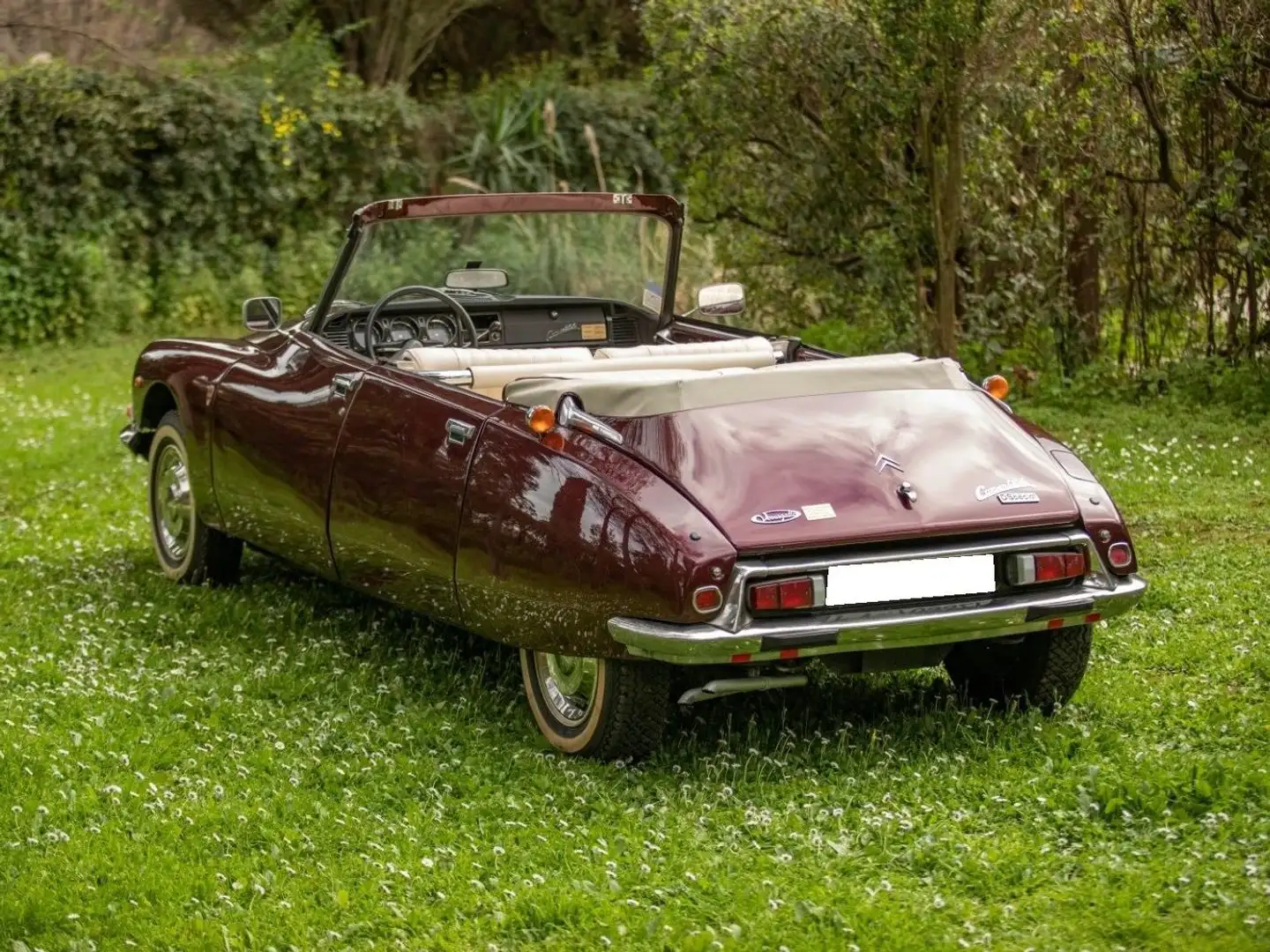 Citroen DS Convertible Marrone - 2