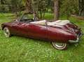Citroen DS Convertible Marrone - thumbnail 3