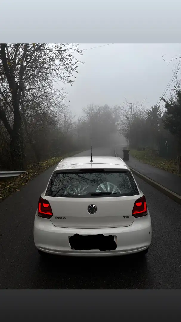 Volkswagen Polo 1.2TDI - 2