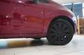 Ford Fiesta 1.3 CHAMPIONS EDIT. 3-TÜR KLIMA/SHZ/USB Rot - thumbnail 7