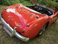 Austin-Healey 3000 Mark I BT7 Rouge - thumbnail 29