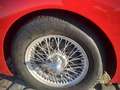 Austin-Healey 3000 Mark I BT7 Kırmızı - thumbnail 12