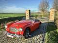 Austin-Healey 3000 Mark I BT7 Kırmızı - thumbnail 5