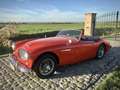 Austin-Healey 3000 Mark I BT7 Kırmızı - thumbnail 6