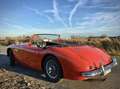 Austin-Healey 3000 Mark I BT7 Kırmızı - thumbnail 3