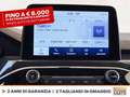 Ford Kuga 1.5 ecoblue st-line 2wd 120cv Grigio - thumbnail 23
