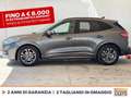 Ford Kuga 1.5 ecoblue st-line 2wd 120cv Grigio - thumbnail 3
