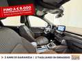 Ford Kuga 1.5 ecoblue st-line 2wd 120cv Grigio - thumbnail 6