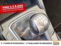 Ford Kuga 1.5 ecoblue st-line 2wd 120cv Grigio - thumbnail 25