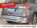 Ford Kuga 1.5 ecoblue st-line 2wd 120cv Grigio - thumbnail 17