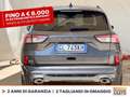 Ford Kuga 1.5 ecoblue st-line 2wd 120cv Grigio - thumbnail 4