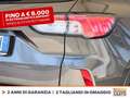 Ford Kuga 1.5 ecoblue st-line 2wd 120cv Grigio - thumbnail 16
