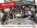 Ford Kuga 1.5 ecoblue st-line 2wd 120cv Grigio - thumbnail 12