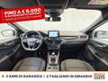 Ford Kuga 1.5 ecoblue st-line 2wd 120cv Grigio - thumbnail 10