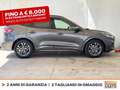 Ford Kuga 1.5 ecoblue st-line 2wd 120cv Grigio - thumbnail 5