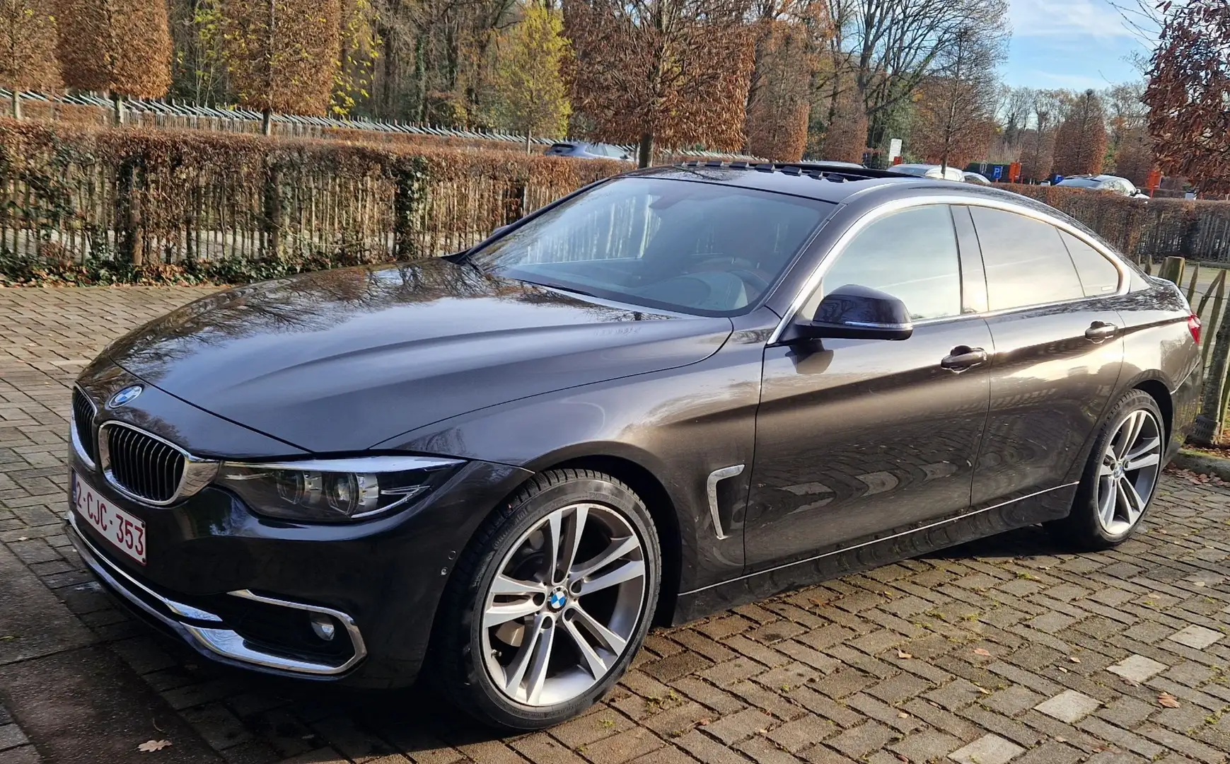 BMW 418 418d Gran Coupe Aut. Luxury Line - 2