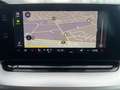 Skoda Octavia Combi 2.0 TDI DSG +MATRIX +ACC +VIRTUAL +NAVI +SH Grau - thumbnail 12