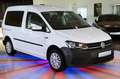 Volkswagen Caddy Trendline BMT*KLIMA*PDC*TEMPOMAT* Weiß - thumbnail 2